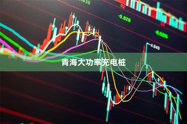 青海大功率充电桩