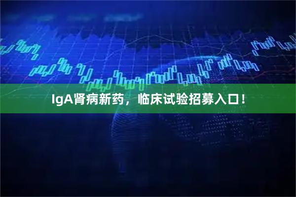 IgA肾病新药，临床试验招募入口！