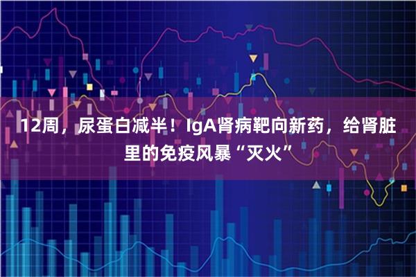 12周，尿蛋白减半！IgA肾病靶向新药，给肾脏里的免疫风暴“灭火”