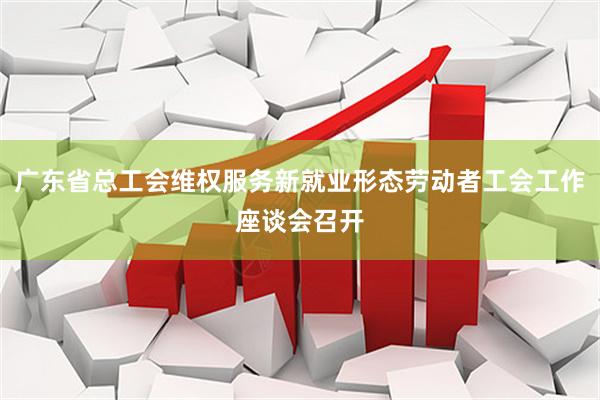 广东省总工会维权服务新就业形态劳动者工会工作座谈会召开